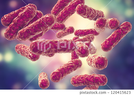 Bartonella henselae bacteria, the causative agent of cat-scratch disease Bartonella henselae bacteria, the causative agent of cat-scratch disease 120415623