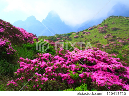盛開的日本水族館(仙水峽/阿蘇市) 盛開的日本水族館(仙水峽/阿蘇市) 120415710