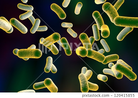 Rod shaped bacteria 120415855