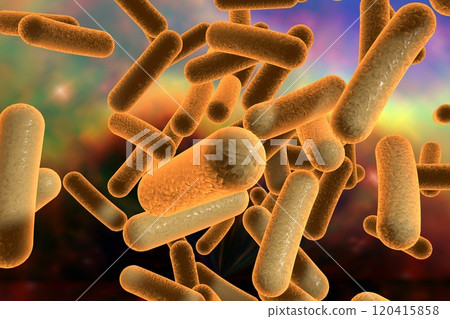 Rod shaped bacteria 120415858