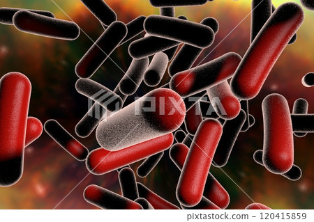 Rod shaped bacteria 120415859