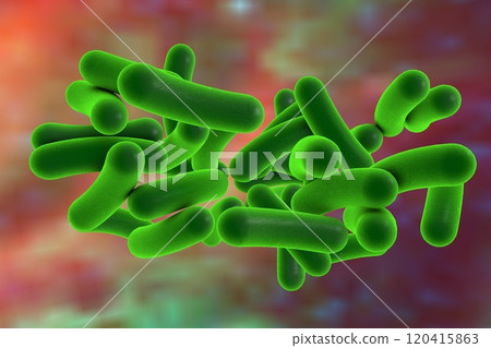 Rod shaped bacteria 120415863