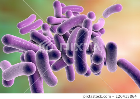 Rod shaped bacteria Rod shaped bacteria 120415864