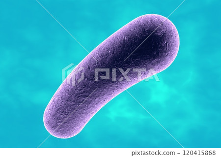 Rod shaped bacterium 120415868