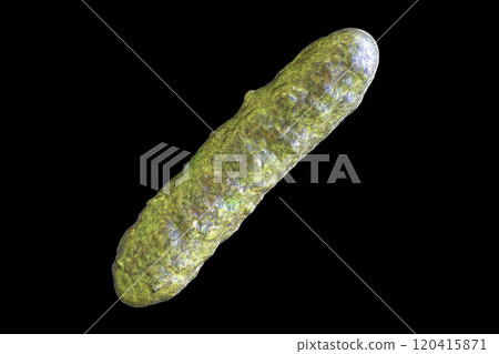 Microbe, microorganism, rod-shaped bacterium Microbe, microorganism, rod-shaped bacterium 120415871