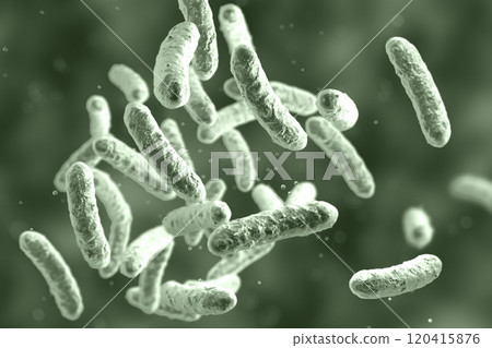 Microbe, microorganism, rod-shaped bacterium 120415876