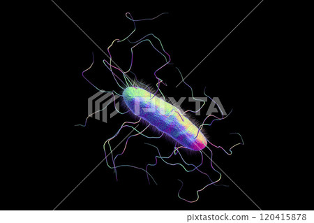 Bacterium with pilli and flagella Bacterium with pilli and flagella 120415878