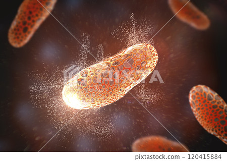 Destruction of bacterium, conceptual 3D illustration 120415884