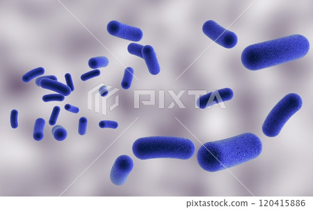 Rod shaped bacteria Rod shaped bacteria 120415886