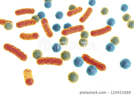 Bacteria of different shapes isolated on white background Bacteria of different shapes isolated on white background 120415889