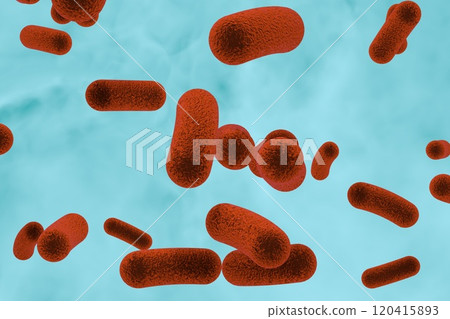 Rod shaped bacteria Rod shaped bacteria 120415893