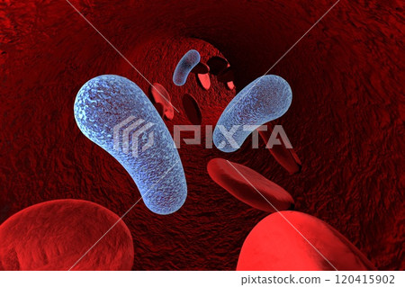 Bacteria in blood, bacteriemia Bacteria in blood, bacteriemia 120415902