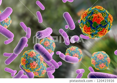 Bacteria and viruses illustration Bacteria and viruses illustration 120415916