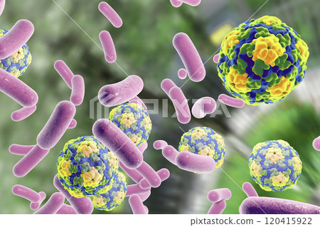 Bacteria and viruses illustration Bacteria and viruses illustration 120415922