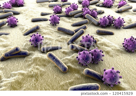 Bacteria and viruses illustration Bacteria and viruses illustration 120415929