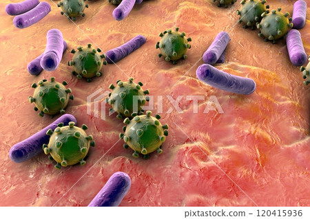Bacteria and viruses illustration Bacteria and viruses illustration 120415936