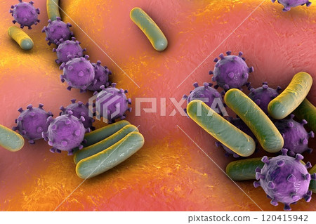 Bacteria and viruses illustration Bacteria and viruses illustration 120415942