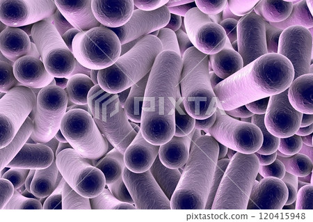 Rod shaped bacteria Rod shaped bacteria 120415948