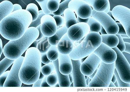 Rod shaped bacteria Rod shaped bacteria 120415949