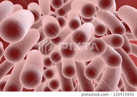 Rod shaped bacteria Rod shaped bacteria 120415950