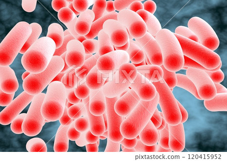 Rod shaped bacteria Rod shaped bacteria 120415952
