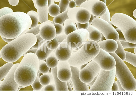 Rod shaped bacteria 120415953