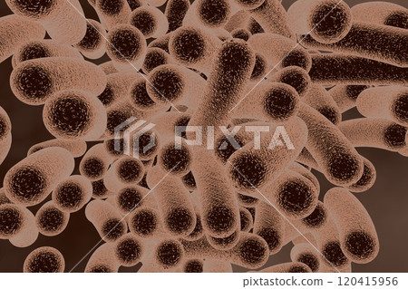 Rod shaped bacteria Rod shaped bacteria 120415956
