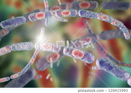 Bacteria Bacillus anthracis Bacteria Bacillus anthracis 120415993
