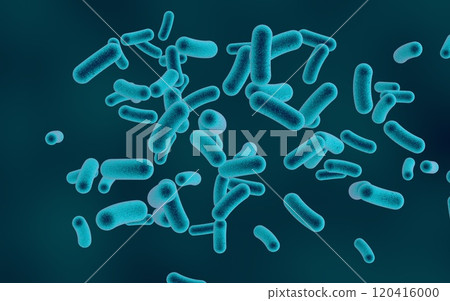 Rod shaped bacteria Rod shaped bacteria 120416000