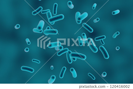 Rod shaped bacteria 120416002