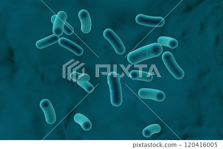 Rod shaped bacteria 120416005