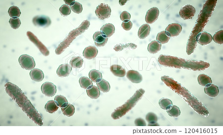 Bacteria of different shapes 120416015