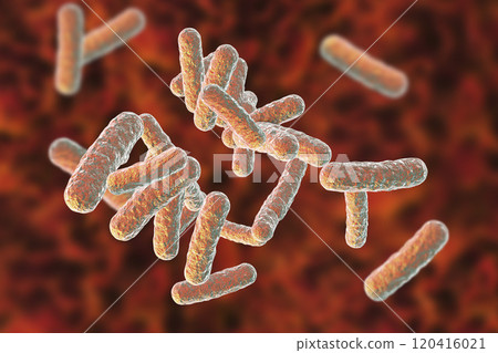 Human pathogenic bacteria Human pathogenic bacteria 120416021