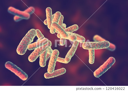 Human pathogenic bacteria Human pathogenic bacteria 120416022