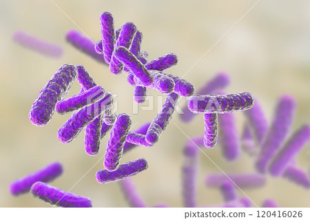 Human pathogenic bacteria 120416026