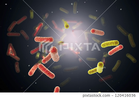 Bacteria in water Bacteria in water 120416036