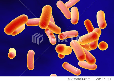 Rod shaped bacteria 120416044