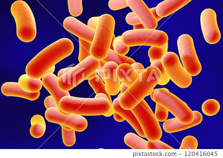 Rod shaped bacteria Rod shaped bacteria 120416045