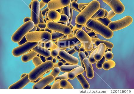 Rod shaped bacteria 120416049