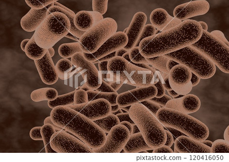 Rod shaped bacteria Rod shaped bacteria 120416050