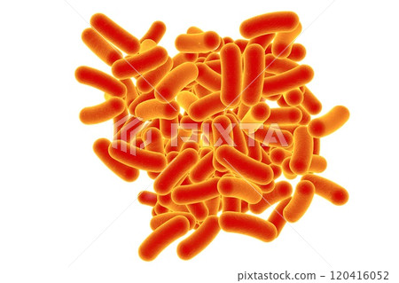Rod shaped bacteria Rod shaped bacteria 120416052