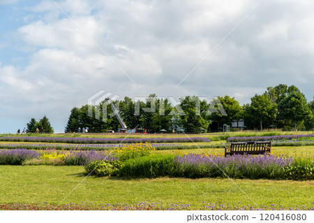 北海道札幌瀧野鈴蘭公園的花園和長椅 120416080