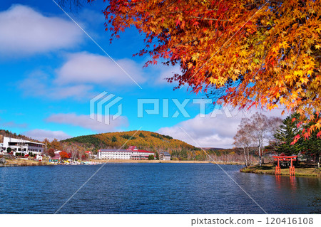 白樺湖的秋天 120416108