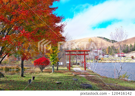 白樺湖的秋天 120416142