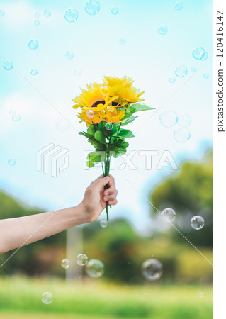 與藍天和肥皂泡的向日葵在背景中 與藍天和肥皂泡的向日葵在背景中 120416147