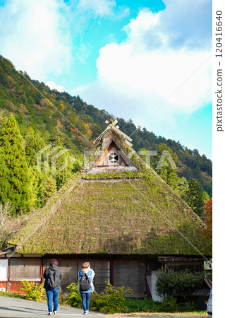 美山茅草村的秋景 美山茅草村的秋景 120416640