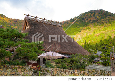 美山茅草村的秋景 美山茅草村的秋景 120416645