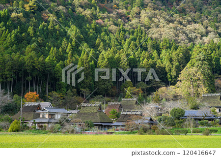Miyama Kayabuki Village Autumn Scenery Miyama Kayabuki Village Autumn Scenery 120416647