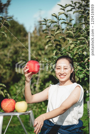 一位婦女在蘋果園採蘋果 120416989