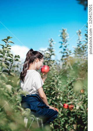 一位婦女在蘋果園採蘋果 120417001